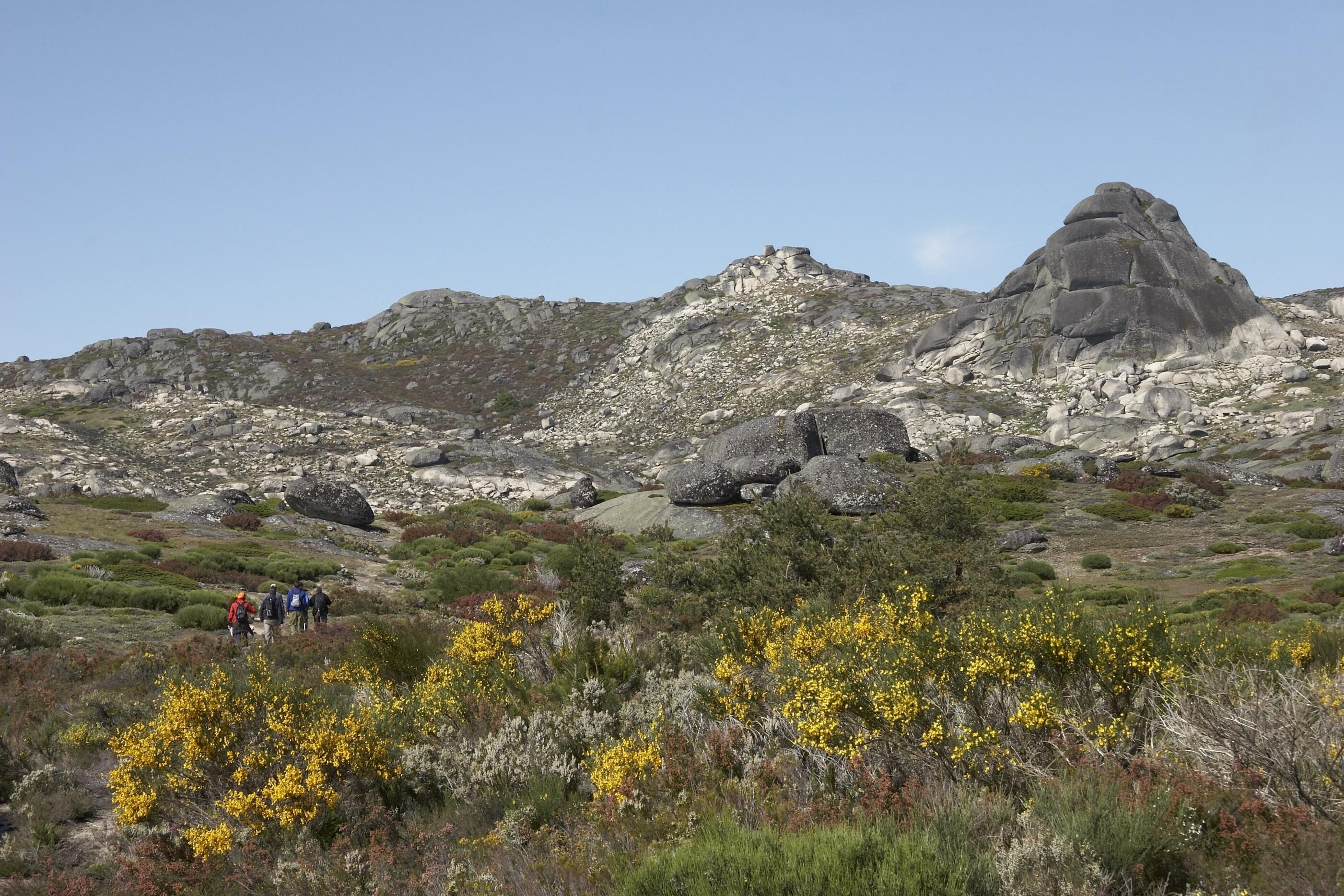 Casa Das Penhas Douradas - Burel Expedition Hotel مانتيغاز المظهر الخارجي الصورة